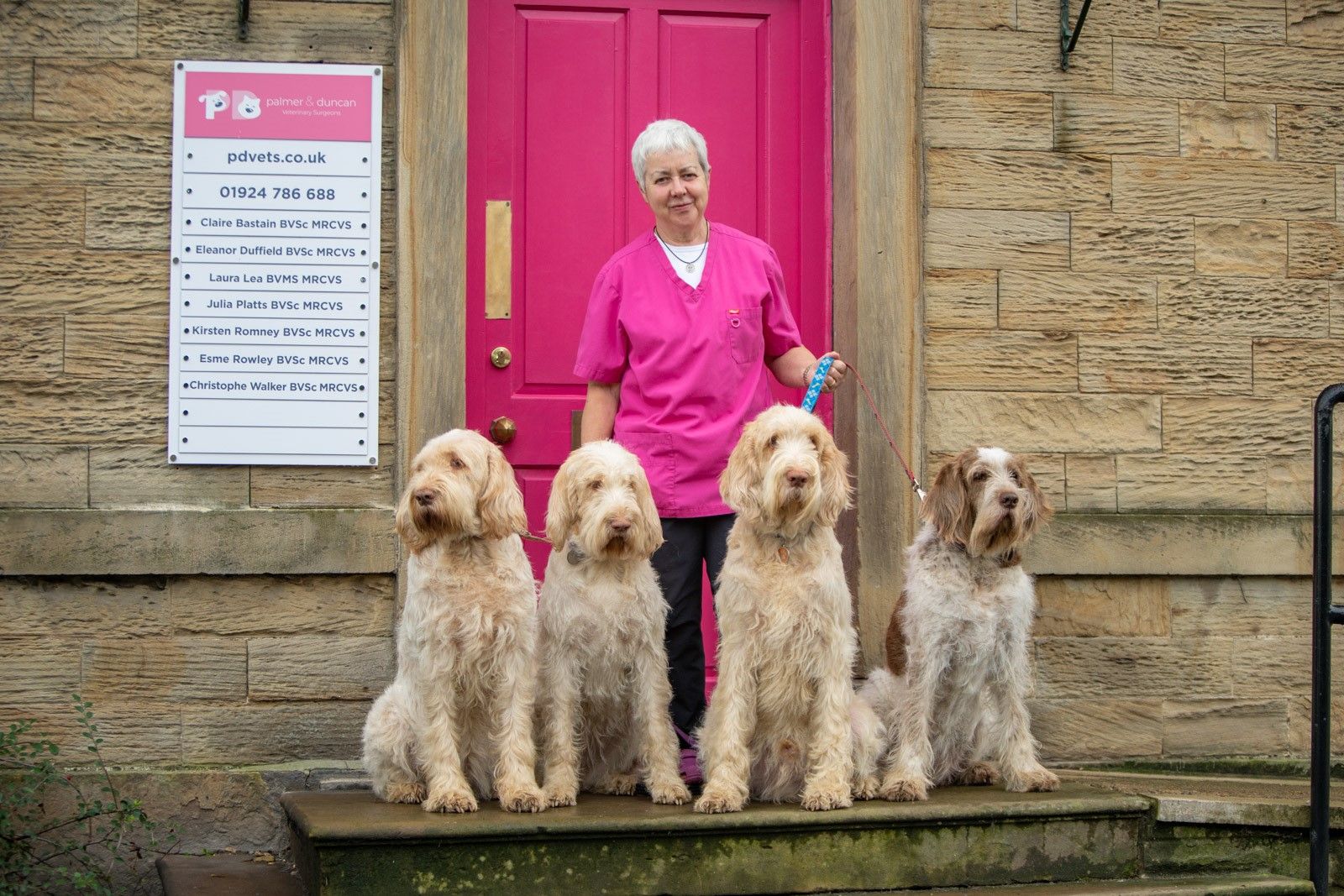 Vet with 4 dogs