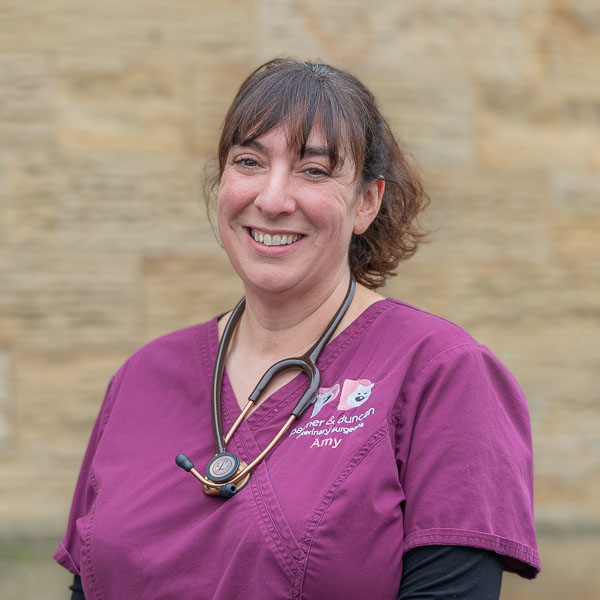 Amy Mawhinney - PDVS (Web)