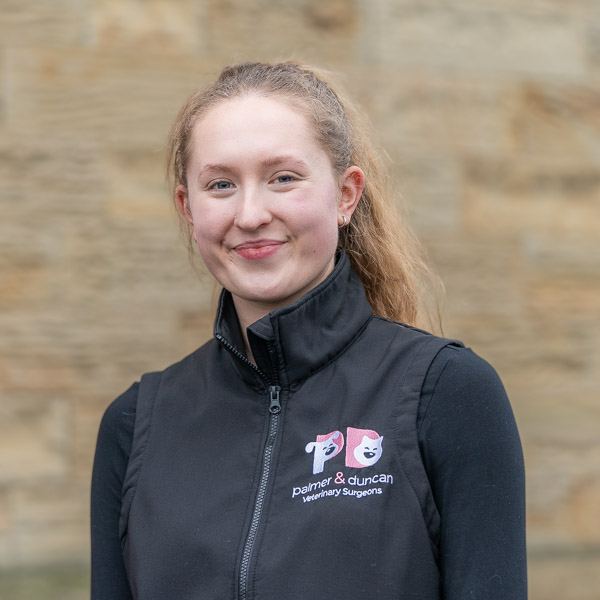 Hollie Nelson - PDVS (Web) (1)