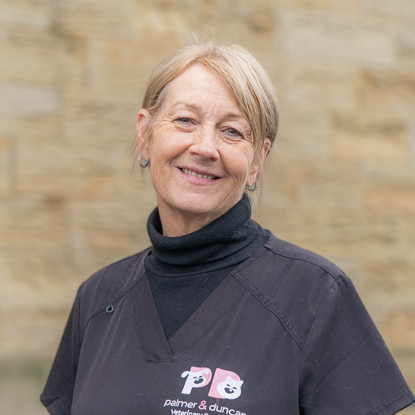 Tracey Kerr - PDVS (Web)